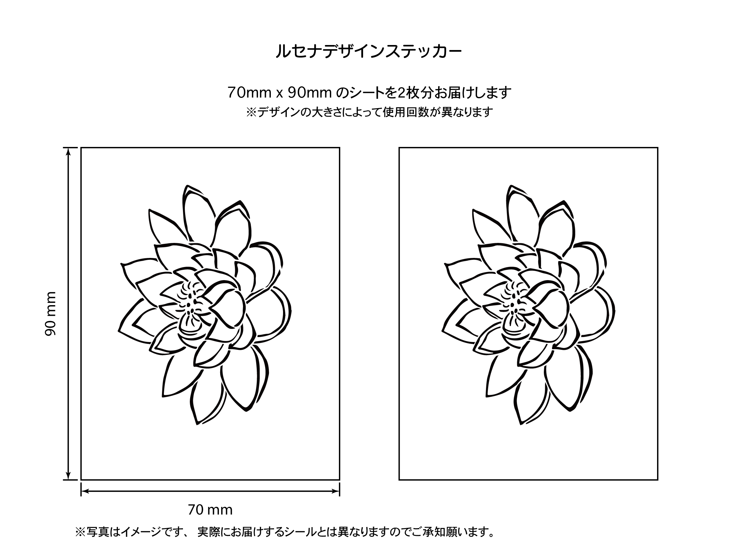 清らかな心　蓮の花