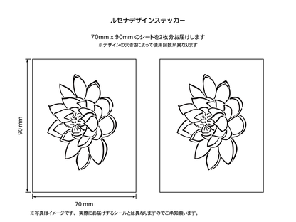 清らかな心　蓮の花